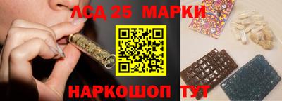 гидра Донецк