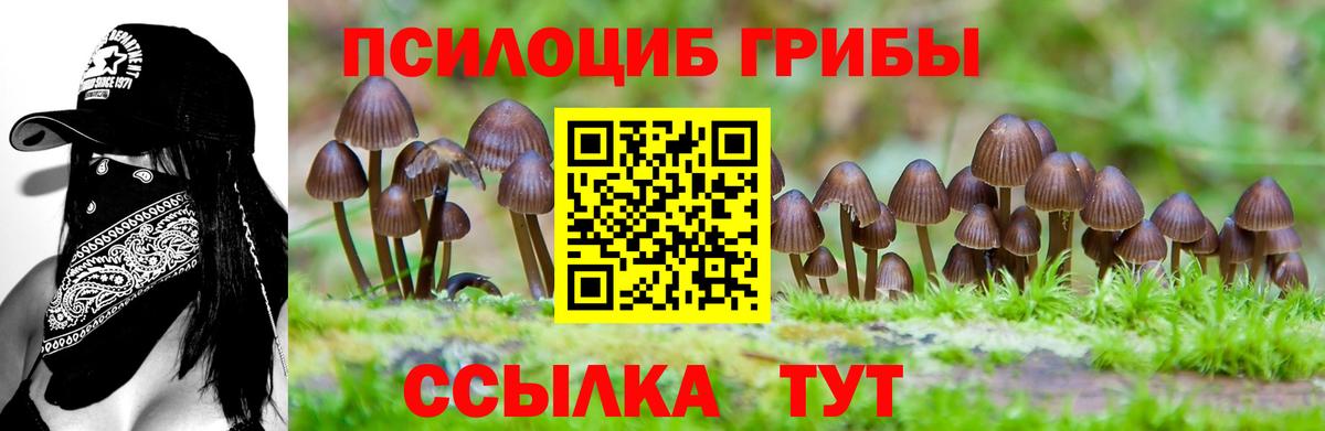 Усть-Лабинск  Псилоцибиновые грибы мухоморы  Псилоцибиновые грибы Psilocybine cubensis  Вход с VPN 